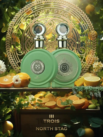 Paris Corner North Stag Trois