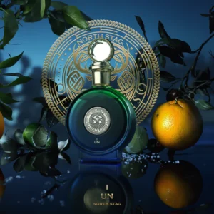 Paris Corner North Stag Un